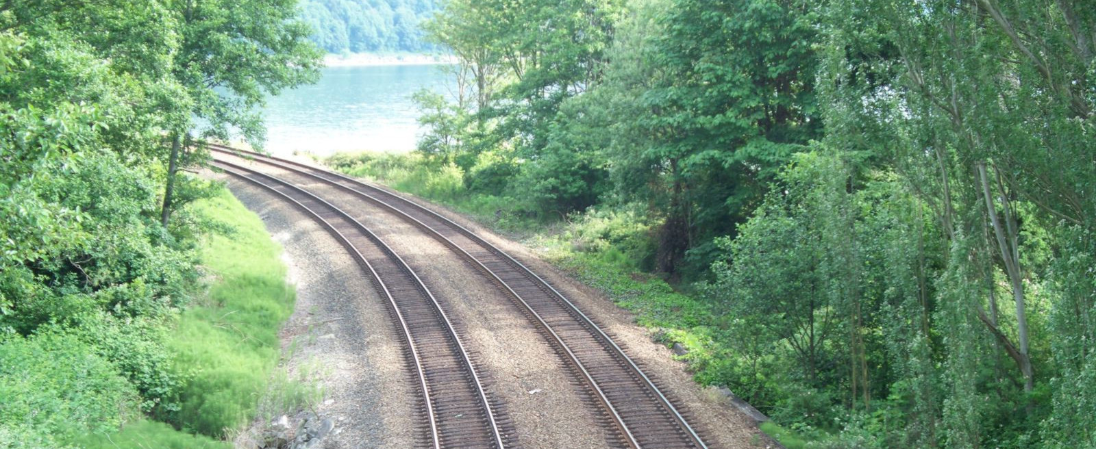 Twin railroad tracks in a forest are also parallel